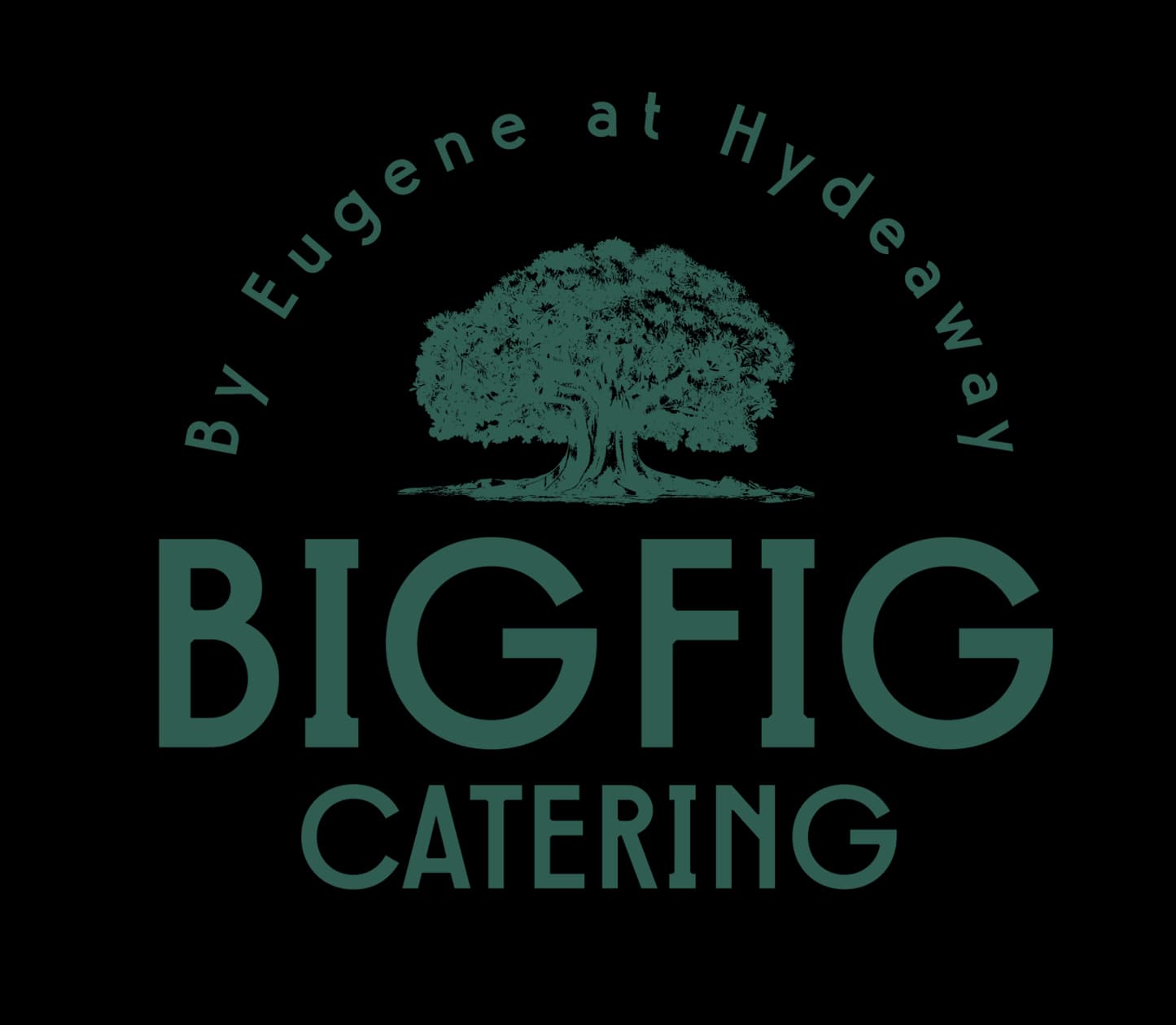 BigFig catering logo